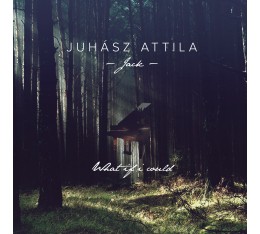 Juhász Attila Jack - What If I Could Juhász Attila Jack - What If I Could