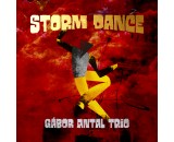 Gábor Antal Trio - Storm Dance