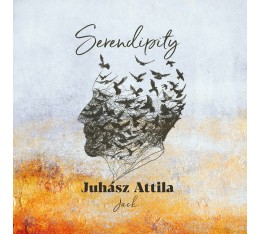 Juhász Attila Jack - Serendipity